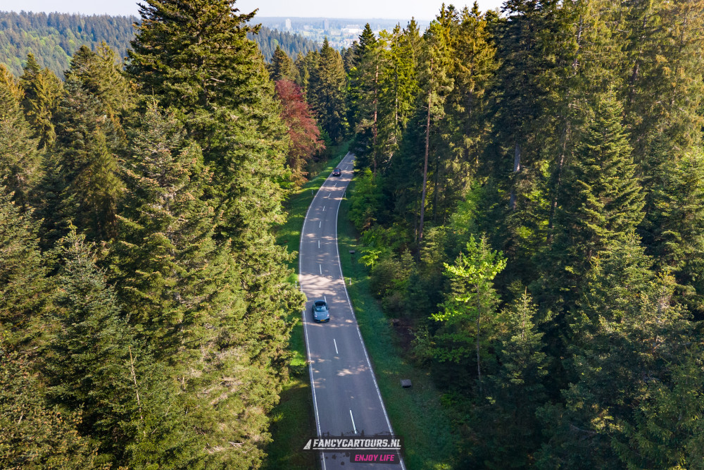 Black Forest 2026