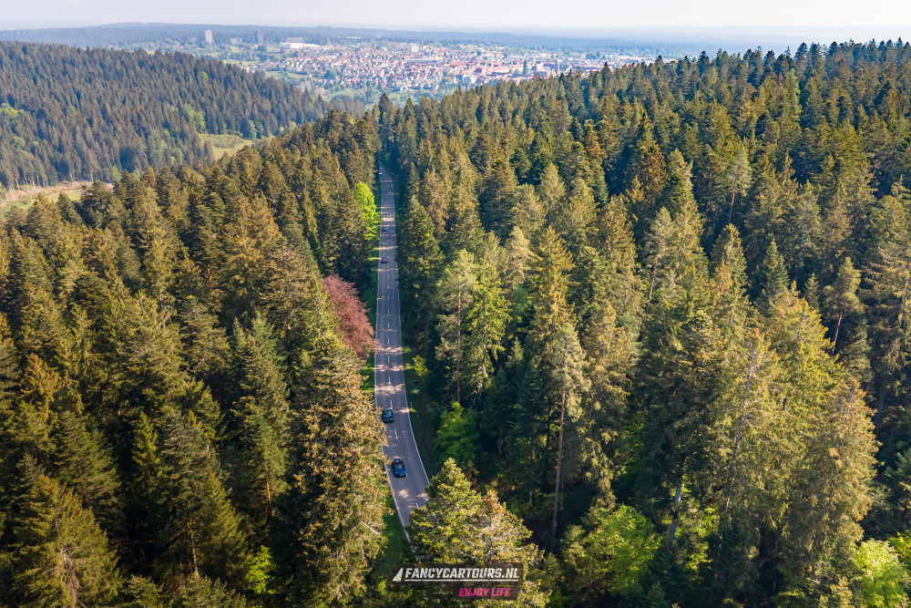 Black Forest 2026