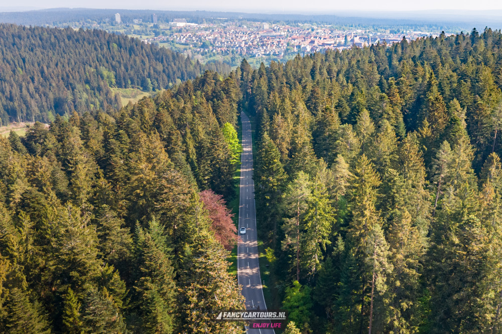 Black Forest 2026