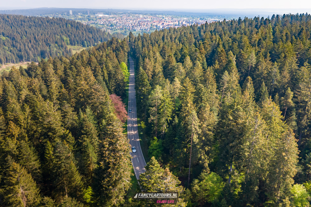 Black Forest 2026