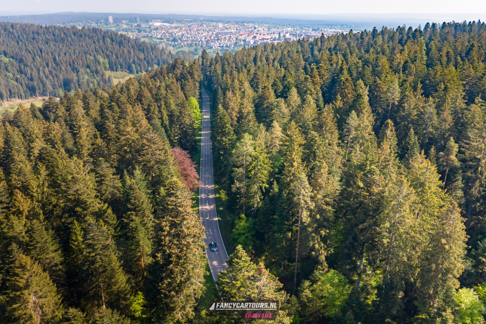 Black Forest 2026
