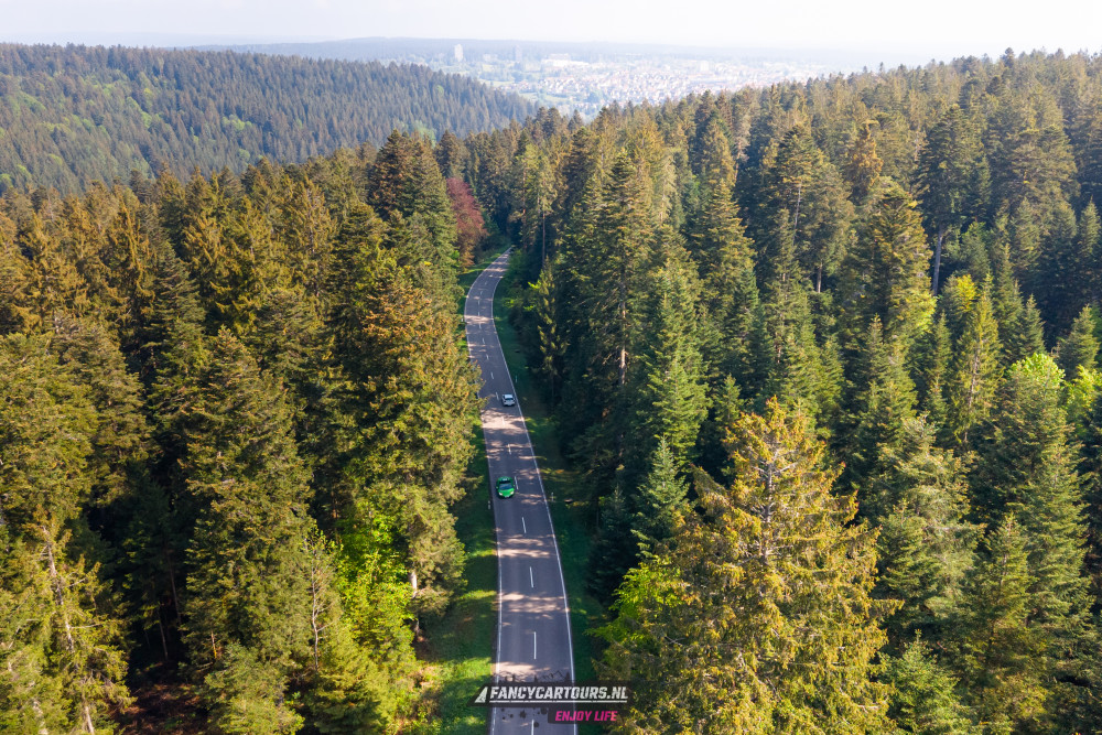Black Forest 2026
