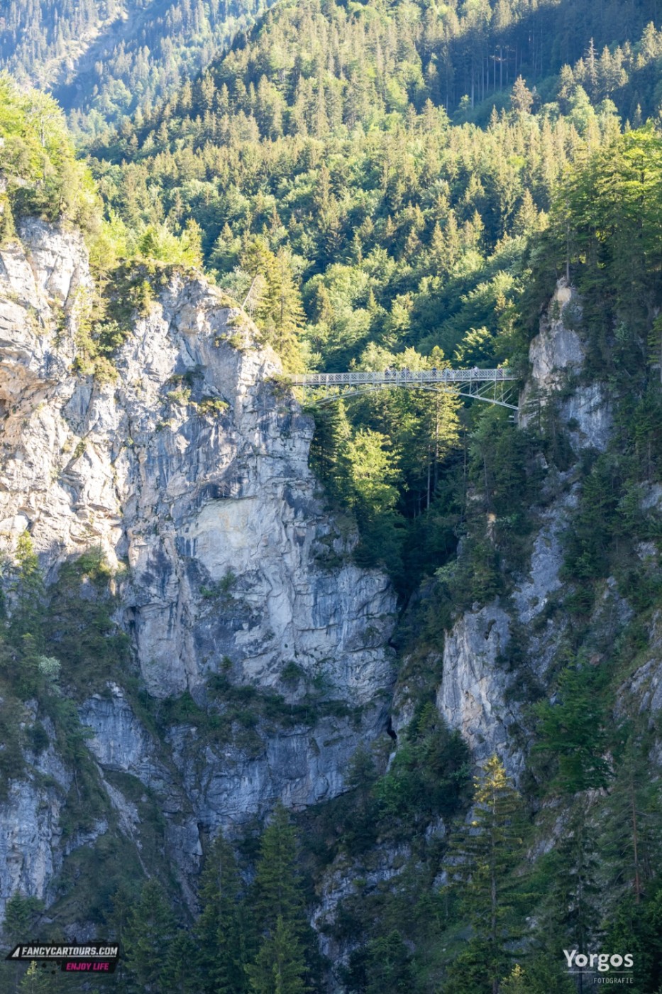 Romantic Road 2026