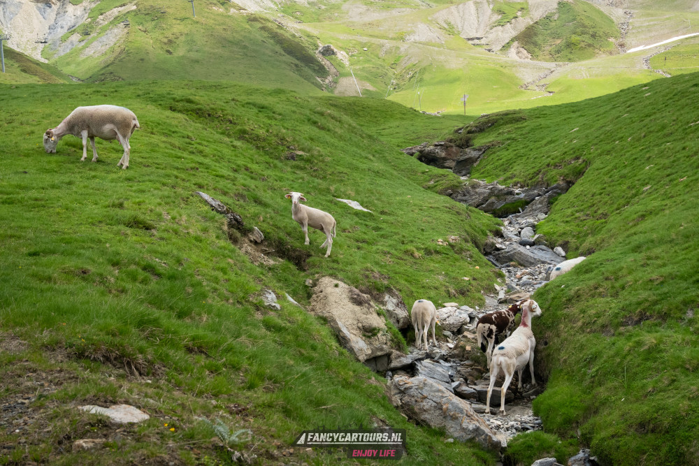 Spanish Pyrenees