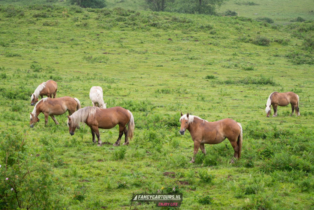 Spanish Pyrenees
