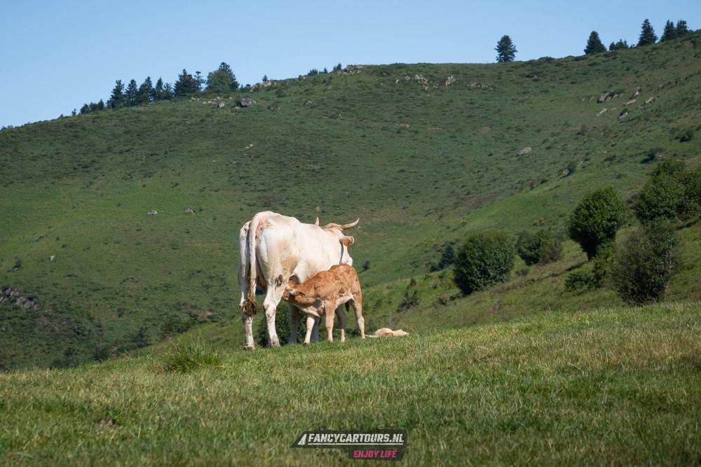 Spanish Pyrenees