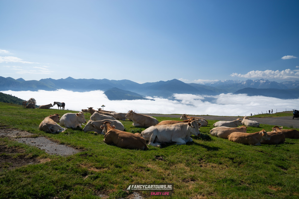 Spanish Pyrenees