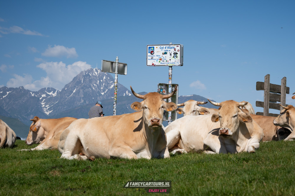 Spanish Pyrenees