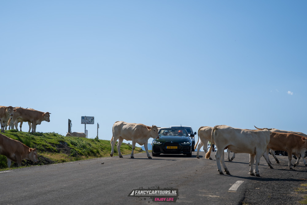 Spanish Pyrenees