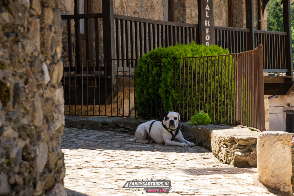 Spanish Pyrenees