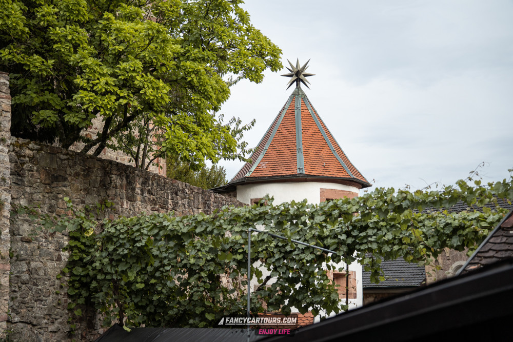 Zwarte woud (Syntess) September 2026