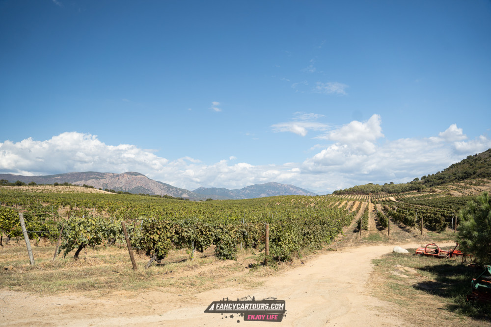 Corsica 2026
