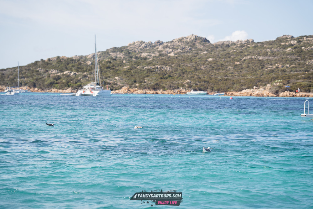 Corsica 2026