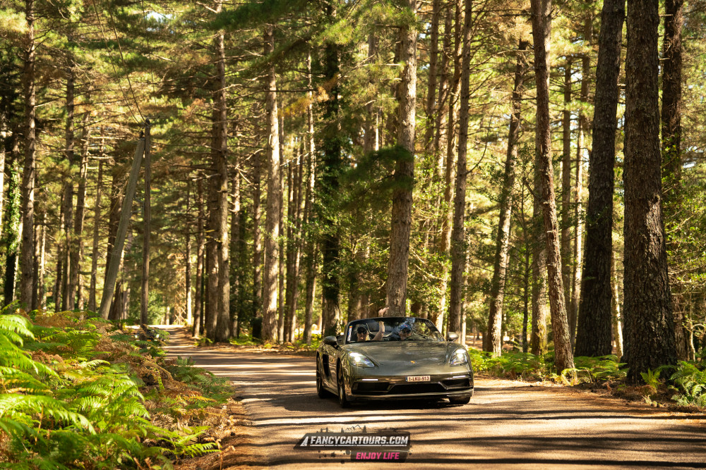 Corsica 2026