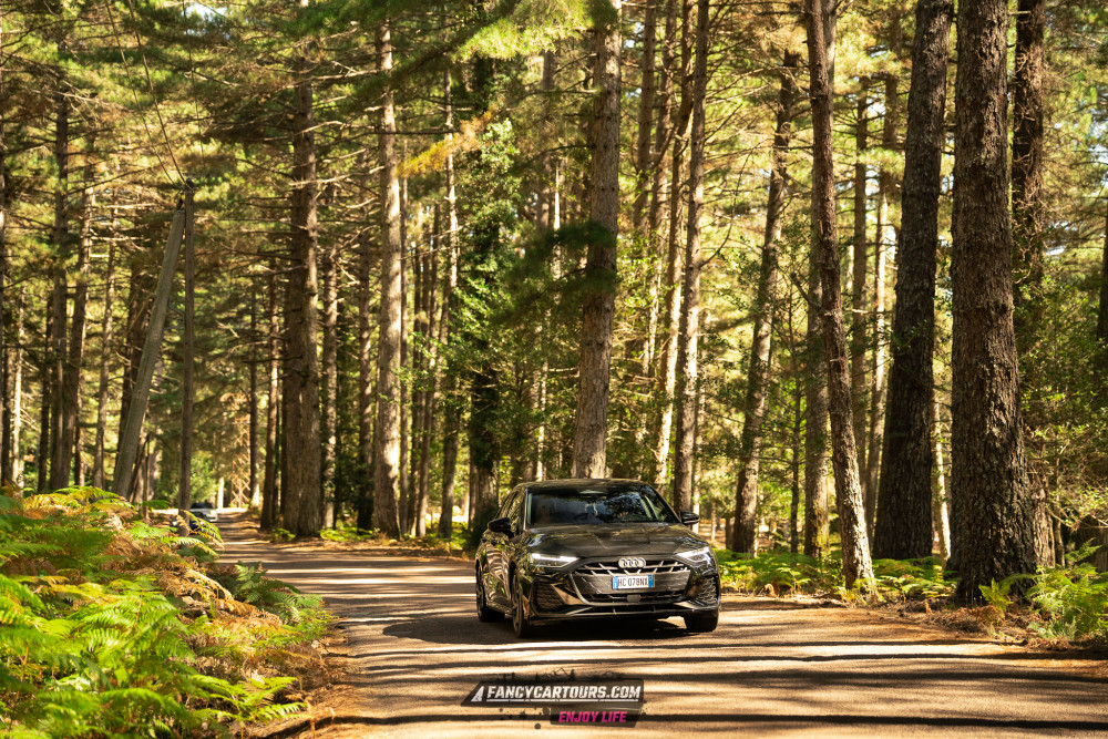 Corsica 2026