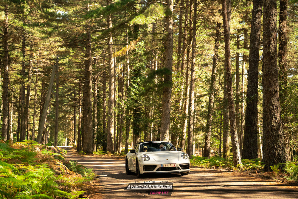 Corsica 2026