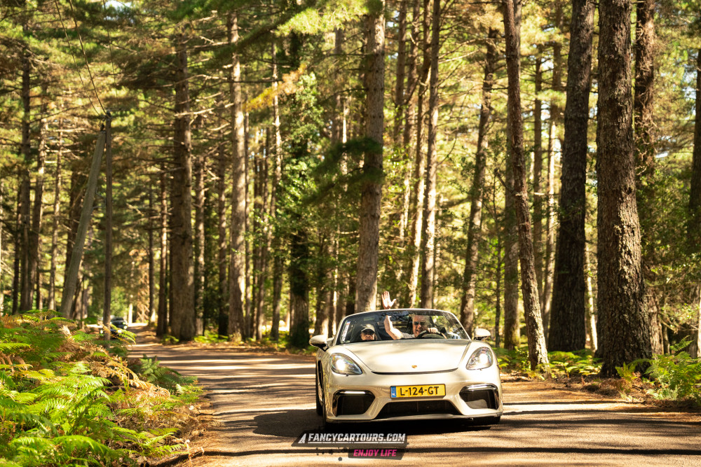 Corsica 2026
