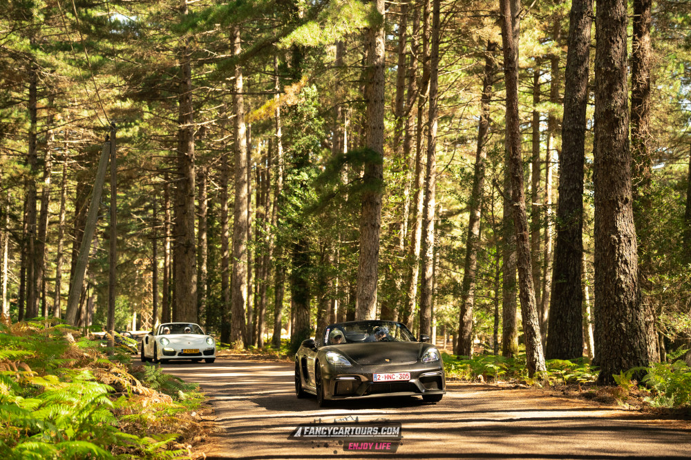 Corsica 2026