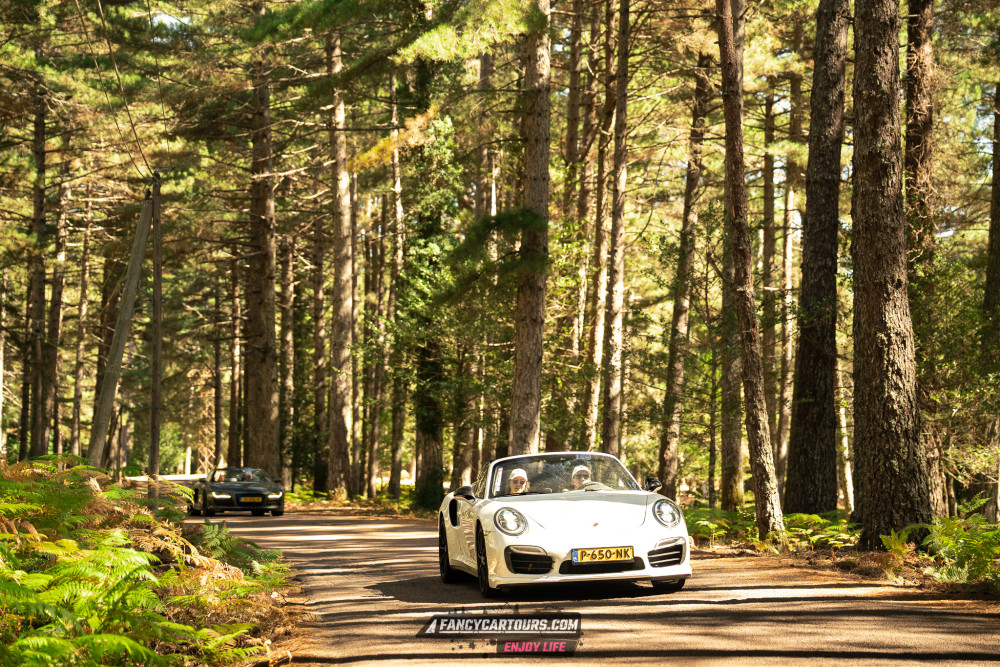 Corsica 2026