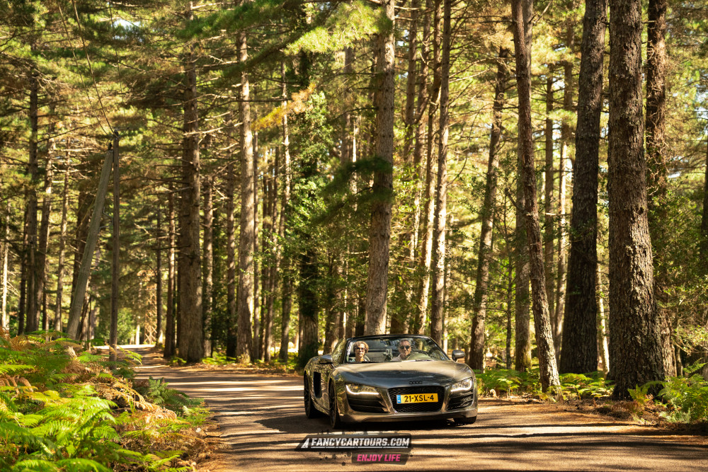 Corsica 2026