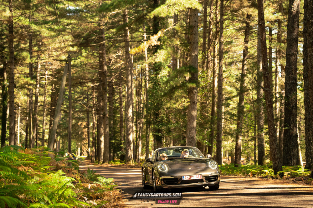 Corsica 2026