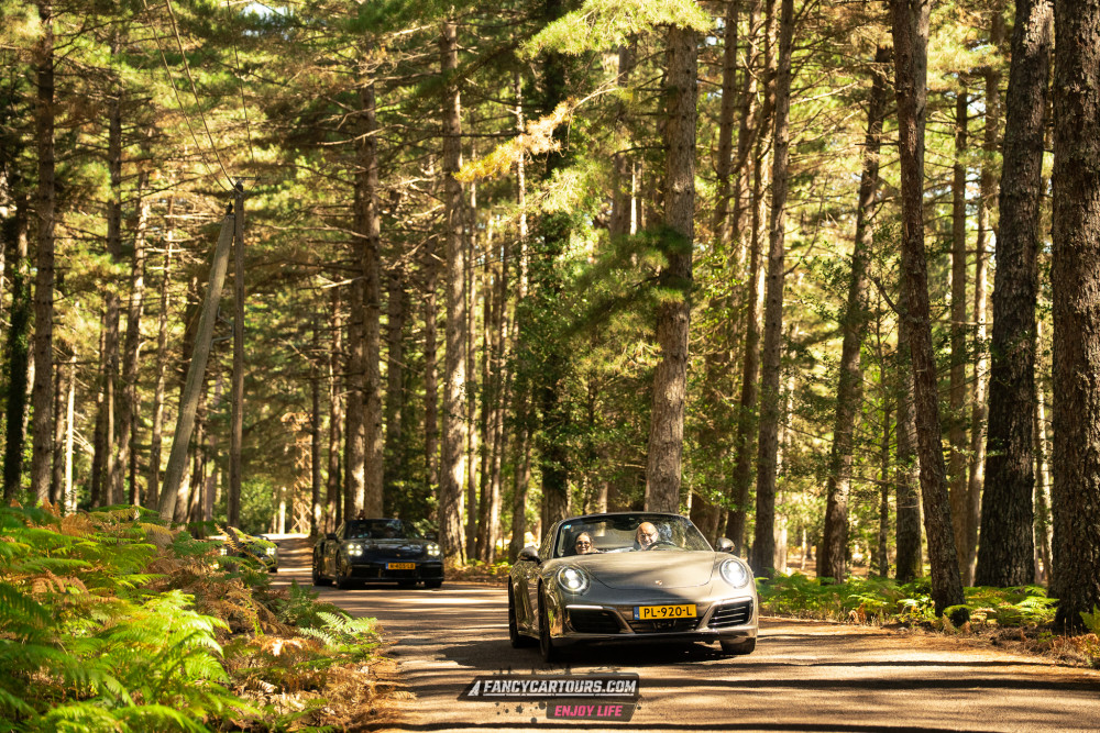 Corsica 2026