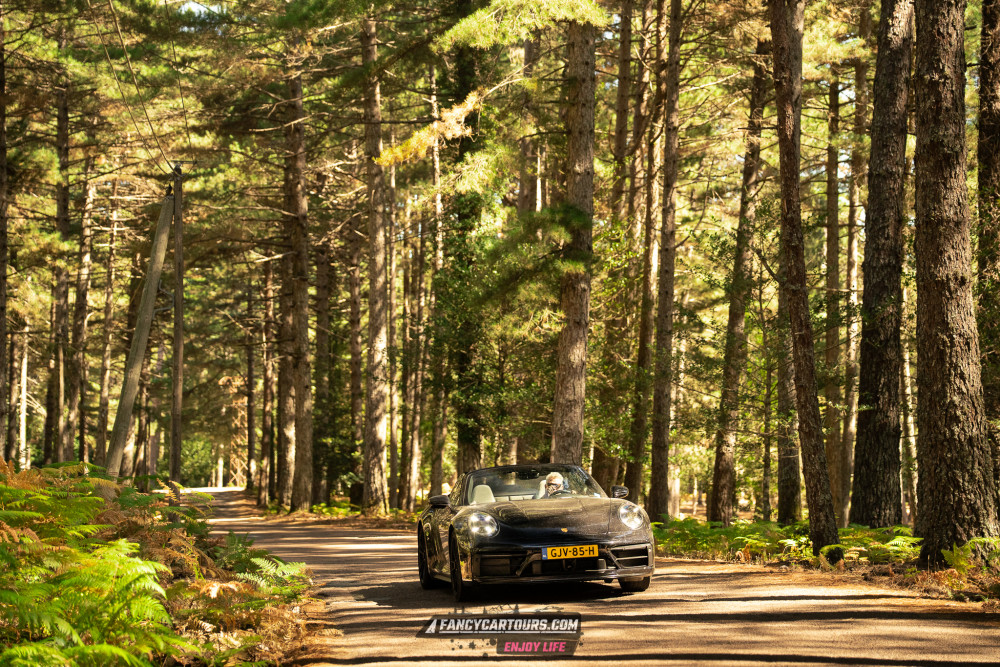 Corsica 2026