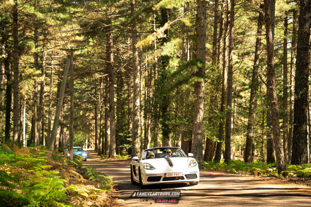 Corsica 2026
