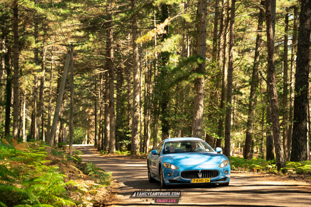 Corsica 2026