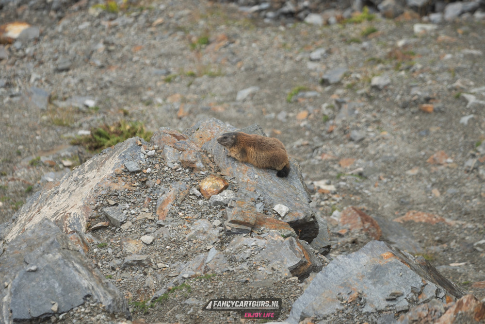 Dolomites 2026