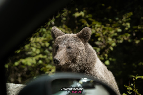 images from 6 Day Romania Edition 