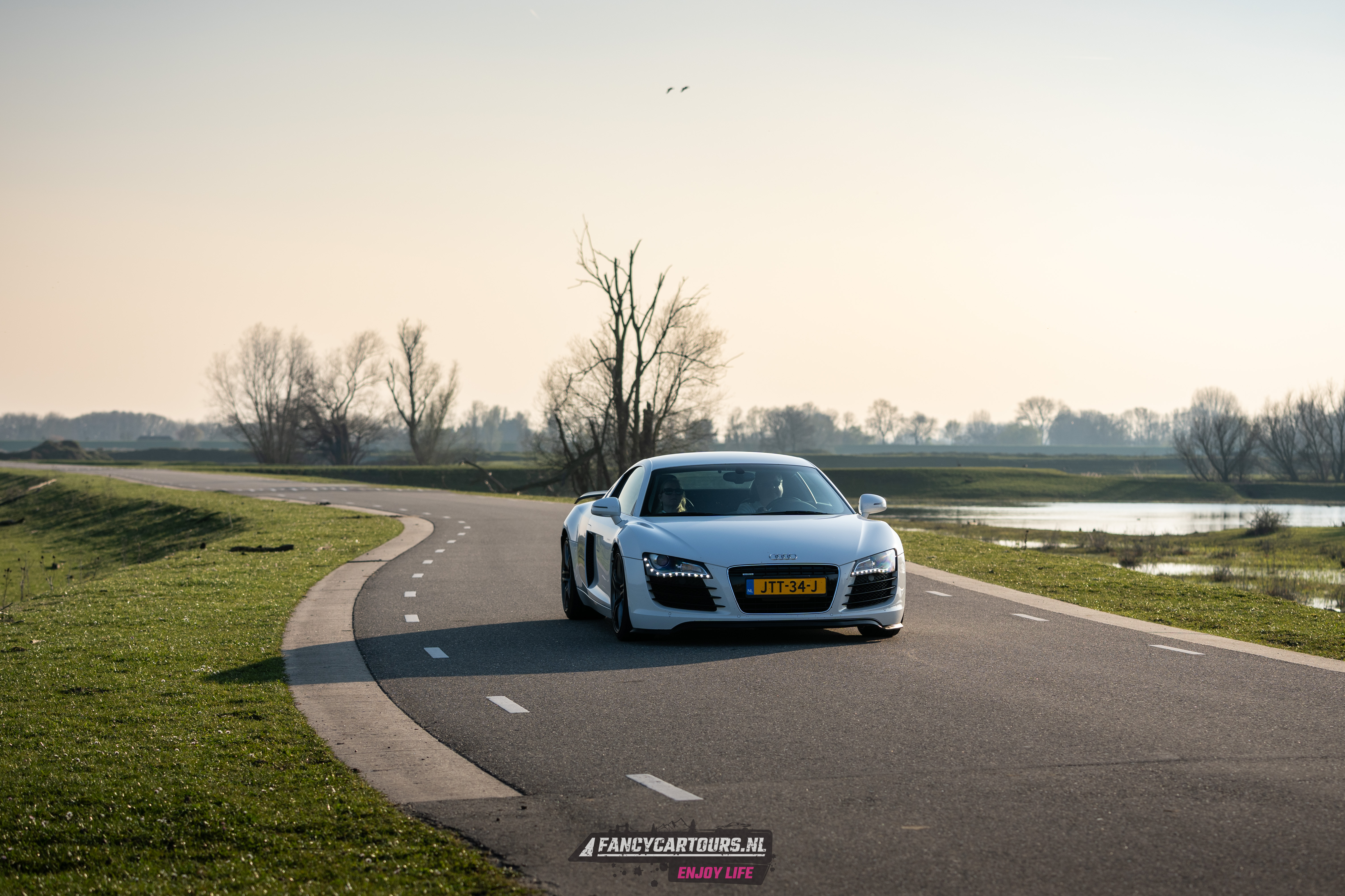 Audi Audi R8