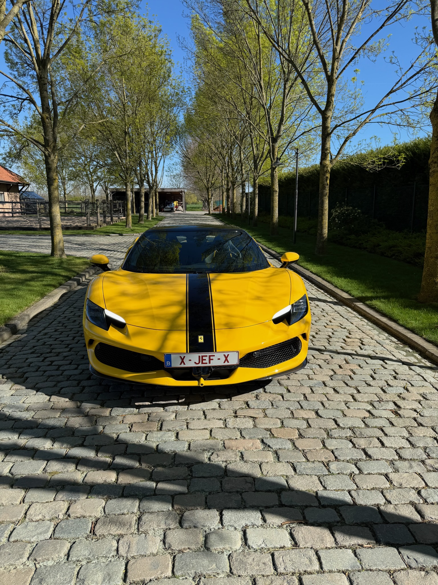 Ferrari 296 GTB