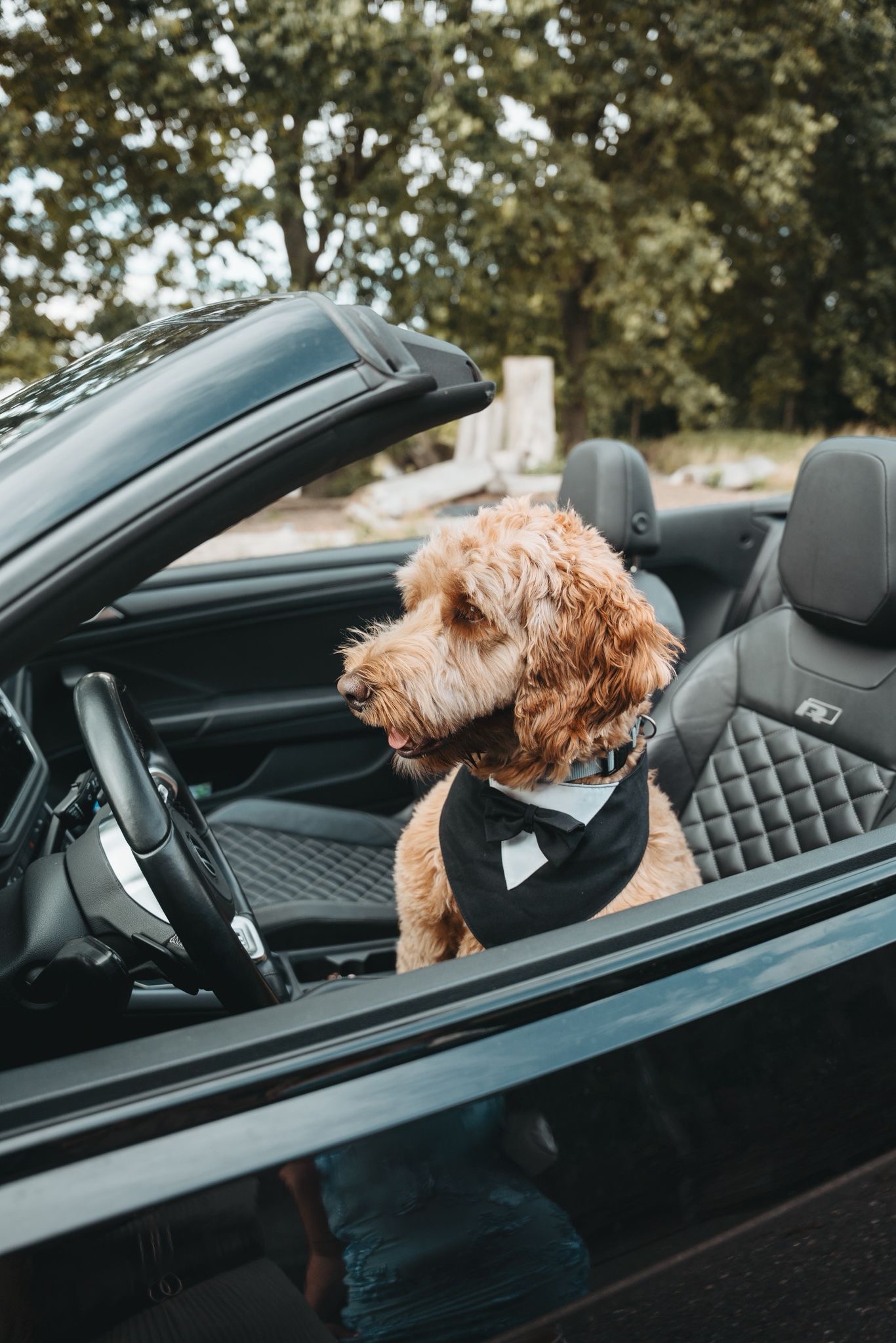 Volkswagen Volkswagen T Roc cabrio